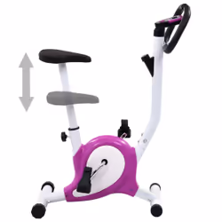 VidaXL 92011 Vélo d'appartement Vélo vertical