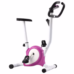 VidaXL 92011 Vélo d'appartement Vélo vertical