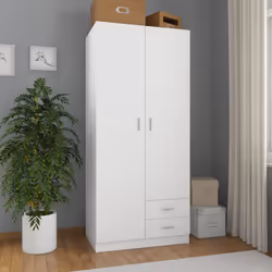 Cette garde-robe compacte facilite l'accès à vos vêtements ou accessoires du quotidien. Elle fournira une solution de stockag ...