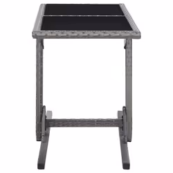 VidaXL 46455 table de jardin Anthracite