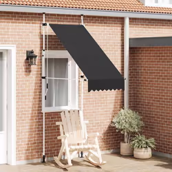 vidaXL Auvent manuel rétractable 100 cm anthracite - TU