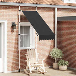 vidaXL Auvent manuel rétractable 100 cm anthracite - TU