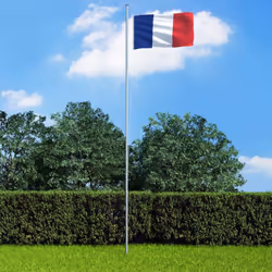 Ce drapeau coloré de la France sera un accroche-regard dans votre jardin ou lors d'événements sportifs et parfait pour montre ...