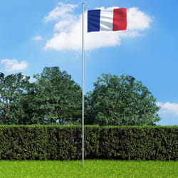 Drapeau français 90x150 cm Vidaxl