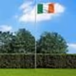 vidaXL Drapeau Irlande 90x150 cm - TU