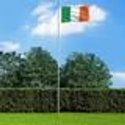 vidaXL Drapeau Irlande 90x150 cm - TU