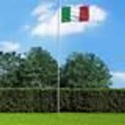 vidaXL Drapeau Italie 90x150 cm - TU