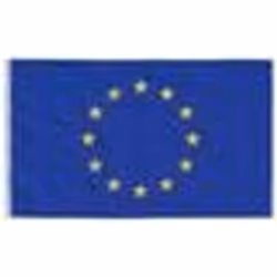 vidaXL Drapeau Union Européenne 90x150 cm