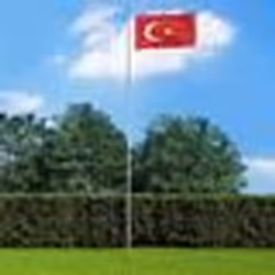 vidaXL Drapeau Turquie 90x150 cm