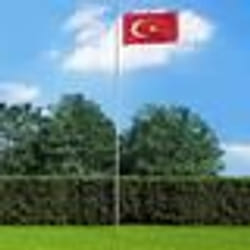 vidaXL Drapeau Turquie 90x150 cm