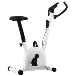 VidaXL 92137 Vélo d'appartement Vélo vertical