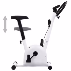 VidaXL 92137 Vélo d'appartement Vélo vertical