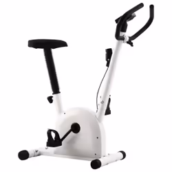 VidaXL 92137 Vélo d'appartement Vélo vertical