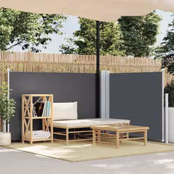vidaXL Auvent latéral rétractable Anthracite 100 x 600 cm - TU