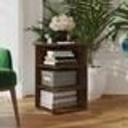 vidaXL Auvent latéral rétractable 170 x 600 cm Rouge - TU