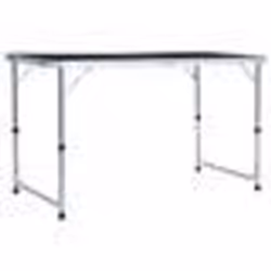 vidaXL Table pliable de camping Gris Aluminium 120x60 cm