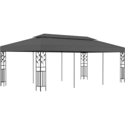 Belvédère 3x6 m Anthracite vidaXL