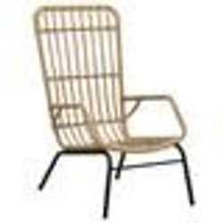 VidaXL 48580 chaise d'extérieur Terrace Siège rembourré Polyuréthane, Acier
