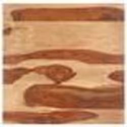 vidaXL Dessus de table bois massif d'acacia 15-16 mm 80x80 cm - TU