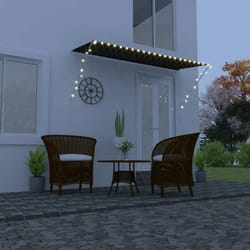 vidaXL Auvent rétractable avec LED 300x150 cm Anthracite - TU