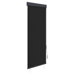 vidaXL Store roulant extérieur 60x250 cm