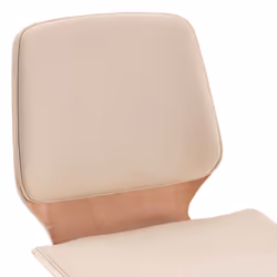 VidaXL 287382 chaise restaurant - Vue supplémentaire 7