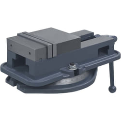 vidaXL Étau à table tournante Fonte 160 mm