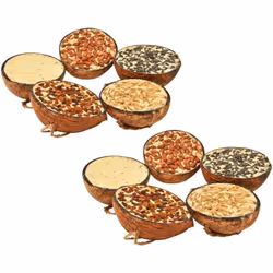 Comprenant 5 variétés, ces 10 moitiés de noix de coco remplies de nourriture pour oiseaux offrent un mélange premium de grais ...