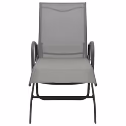 VidaXL 47845 chaise d'extérieur Linge Siège rembourré Acier, Textile Gris