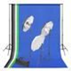 vidaXL Kit de studio photo avec toile de fond et jeu d'éclairage - TU