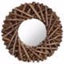 vidaXL Miroir mural 40 cm Teck Rond - TU