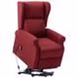 vidaXL Fauteuil Rouge bordeaux Tissu