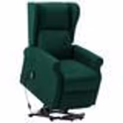 vidaXL Fauteuil Vert foncé Tissu - TU