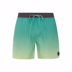 Short de bain Protest Prterin