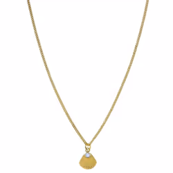 COLLIER ROSEFIELD JPNSCG-J268