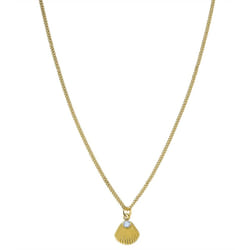 COLLIER ROSEFIELD JPNSCG-J268