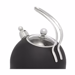 Bredemeijer 171002 bouilloire 2,5 L Noir