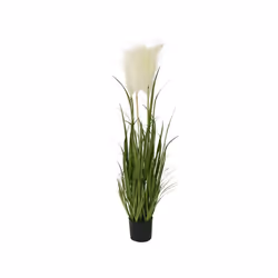 Plante Artificielle Herbes Pampas En Pot Plastique - Ø 40 x 100 cm - Nos Envies Déco