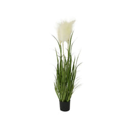 Plante Artificielle Herbes Pampas En Pot Plastique - Ø 40 x 100 cm - Nos Envies Déco