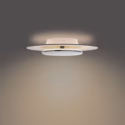 Philips Fonctionnel 8720169195196 éclairage de plafond Noir LED