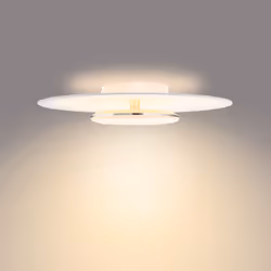 Philips Fonctionnel 8720169195257 éclairage de plafond Blanc LED