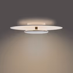 Philips Fonctionnel 8720169195271 éclairage de plafond Noir, Blanc LED