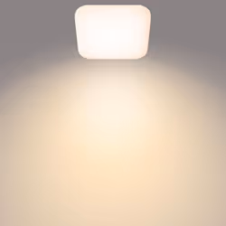 Philips Fonctionnel 8720169195455 éclairage de plafond Blanc LED