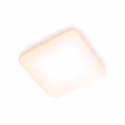 Philips Fonctionnel 8720169195493, LED, 2700 K, 2900 lm, IP20, Blanc