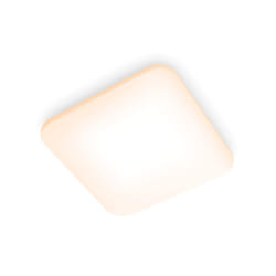 Philips Fonctionnel 8720169195493 éclairage de plafond Blanc LED