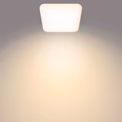 Philips Fonctionnel 8720169195493 éclairage de plafond Blanc LED