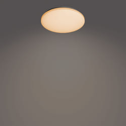 Philips Fonctionnel 8720169196070 éclairage de plafond Blanc LED