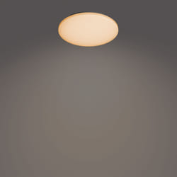 Philips Fonctionnel 8720169196094 éclairage de plafond Blanc LED
