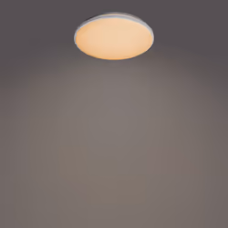Philips Fonctionnel 8720169196117, LED, 2500 lm, IP20, Blanc