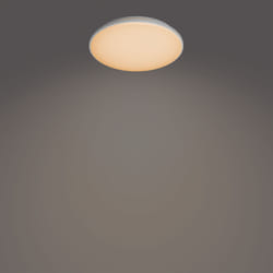 Philips Fonctionnel 8720169196131 éclairage de plafond Blanc LED